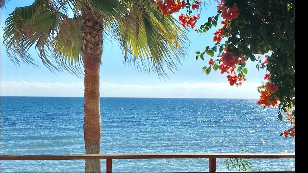 Mi Capricho 9A Beachfront- Apartment With Sea View - Costa Del Sol Sitio de Calahonda Spain